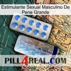 Big Penis Male Sexual Stimulant 39